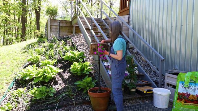 Planting Up Our Pamela Crawford Planter with Supertunia Vista Jazzberry смотреть онлайн