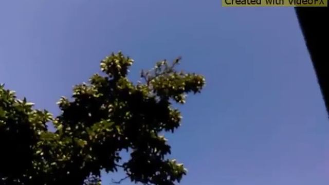 Клип не смотри ты по сторонам свлка в описание смотреть онлайн