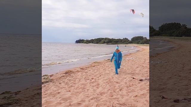 Кайтсерфинг в Кронштадте смотреть онлайн