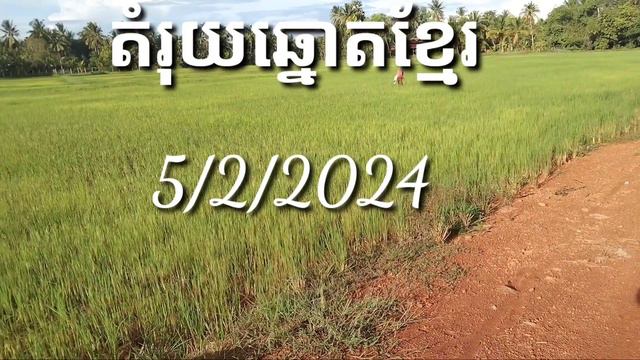 តំរុយឆ្នោតខ្មែរ/KHORNTHEAVY/5/2/2024/ смотреть онлайн