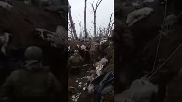 Спец Полк Север Ахмат смотреть онлайн
