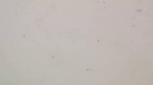 БОЛЬШОЙ ТЕСТ МАСЛА PARTNUMBER 710 НА ПЯТИ АВТОМОБИЛЯХ что покажет анализ через 5,8 и 10.000 км