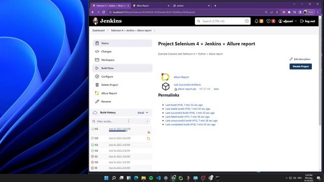 Running Selenium & Python script in Jenkins смотреть онлайн