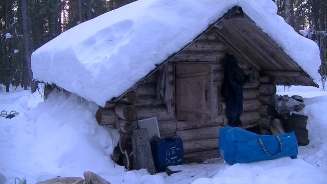 Кедровая избушка в тайге/На охотничьих лыжах/Балок/Жизнь в избушке