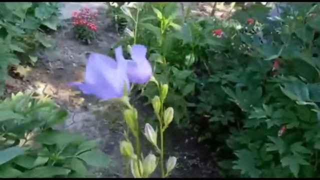 Красивая природа 2