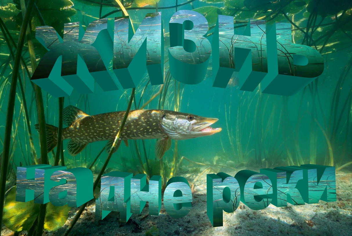 Жизнь на дне реки. смотреть онлайн
