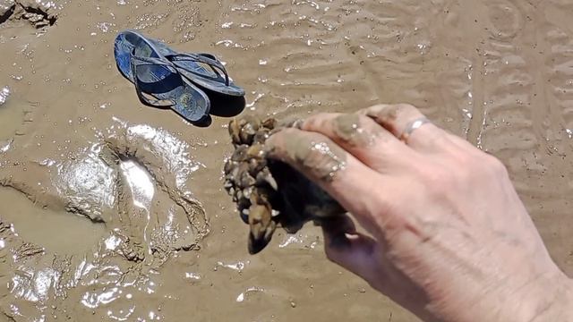 Третій день відходу води з каховського водосховища, гуляю по дну моря смотреть онлайн