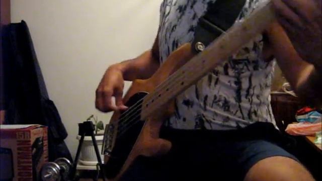 Meshell Ndegeocello - Ecclesiastes: Free My Heart (Bass Cover) смотреть онлайн