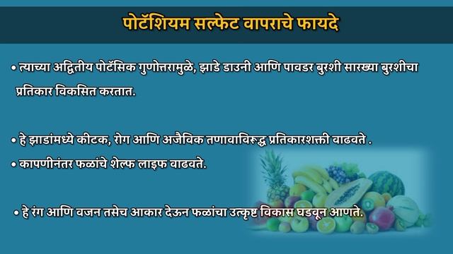 0 0 50 चे फायदे | 0:0:50 खत संपूर्ण माहिती , फायदे , किंमत ,उपयोग | potassium sulphate |कांदा,ऊस смотреть онлайн