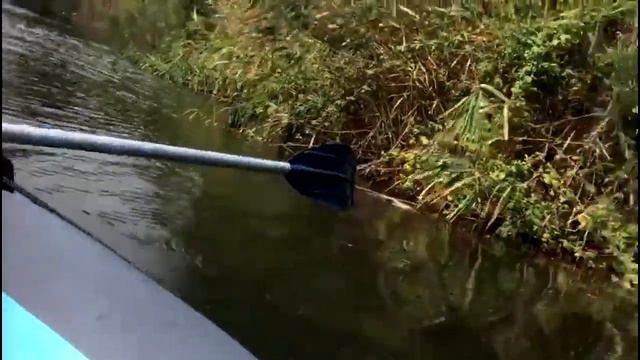 "Мироустройство" (91). Симфония разума (5). «Кто сеет знания, одолевает скорбь» (1). Мудрый покой. смотреть онлайн