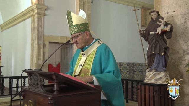 29º Domingo do Tempo Comum - Abertura do Sínodo nas Dioceses смотреть онлайн