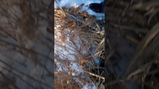 русские дороги одна из частей смотреть онлайн