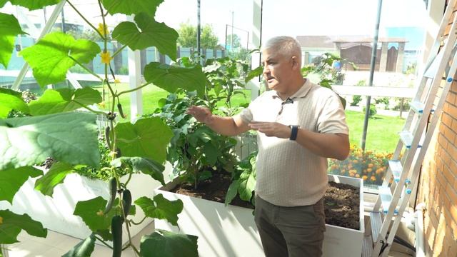 Круглогодичная теплица. Зимняя теплица. Построить зимнюю теплицу. смотреть онлайн