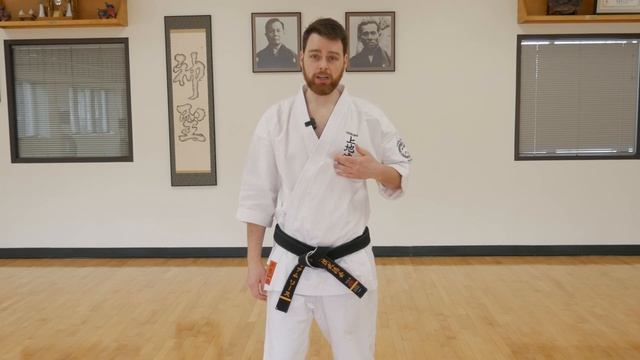 Sanchin Kata Full Tutorial | Uechiryu Karate смотреть онлайн