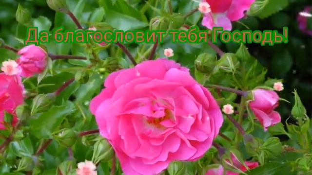 Христианская песня и поздравление с Днём Рождения! смотреть онлайн
