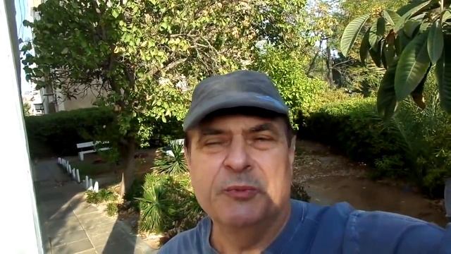 С праздником Суккот в Израиле смотреть онлайн