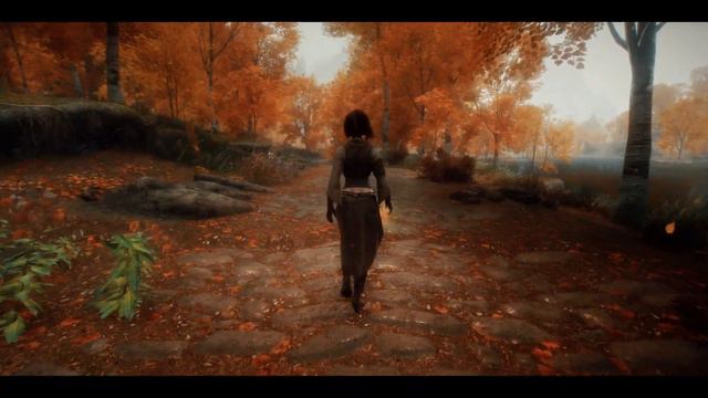 [Skyrim SE] Vanargand Animations II - Female Idle Walk & Run смотреть онлайн