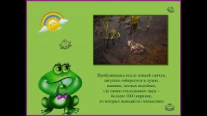 Про лягушек детям