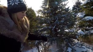 В лесу родилась елочка. Как мы рубили новогоднюю елку. Cutting Christmas tree.