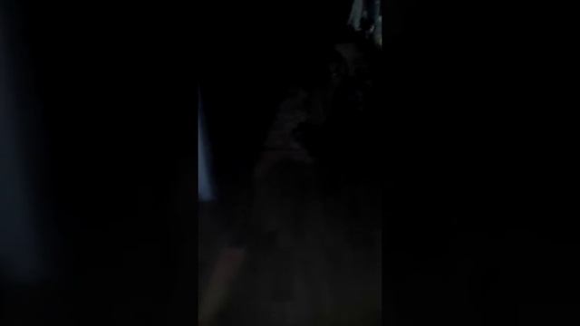 Ужасные глаза кошки в темноте смотреть онлайн