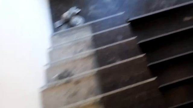 Плитка на лестнице с противоскользящим профилем смотреть онлайн