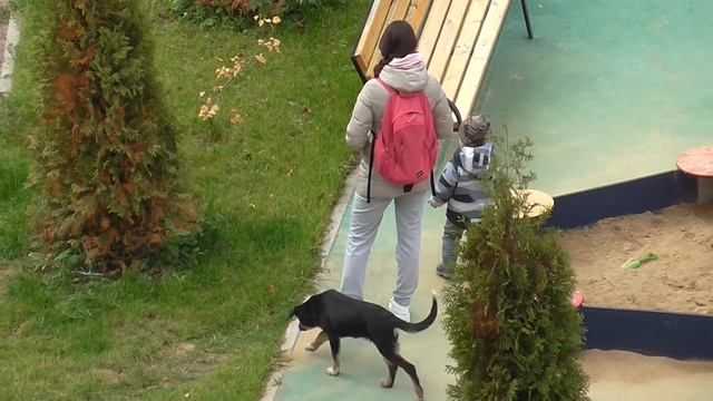 Собаки в ЖК Татьянин Парк смотреть онлайн