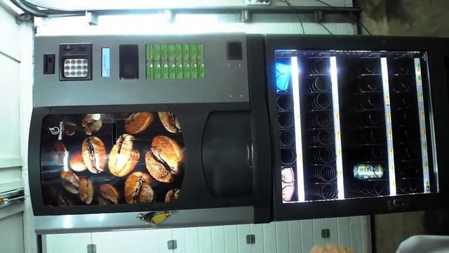 Обзор Bianchi bvm 951 смотреть онлайн