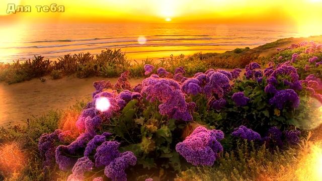 ДОБРЫЙ ВЕЧЕР! Красивое пожелание с добрым вечером! Музыкальная открытка)) смотреть онлайн