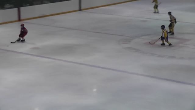 Финал Первенства РФ по мини-хоккею с мячом в Балахне, 1 тайм смотреть онлайн