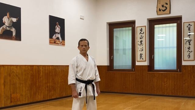 Jion - Full Karate Kata Explanation with Bunkai - Master Dario Marchini смотреть онлайн