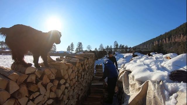 Управляемся с дровами, да красотой любуемся смотреть онлайн