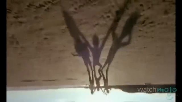 Top 10 Britpop Anthems