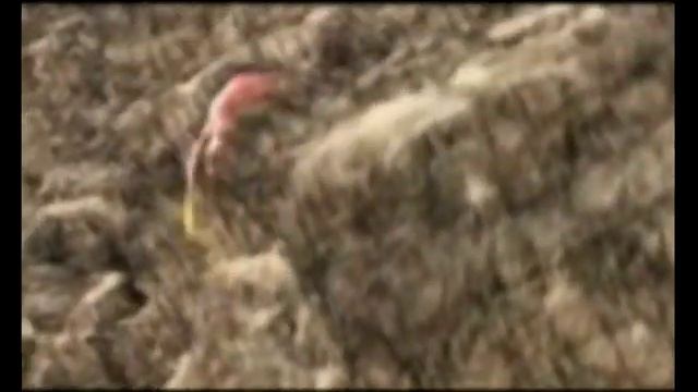 Мельница-Дорога сна (Final Fantasy) смотреть онлайн