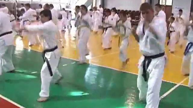Семинар под руководством шихана Кушнирик В. Б. смотреть онлайн
