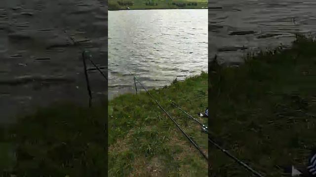 Рыбалка 19.05.19 на Мерешоре в хорошем настроении смотреть онлайн