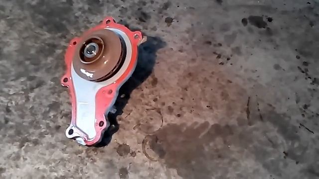 CITROEN C ELYSEE 1.6HDI TIMING BELT REPLACEMENT