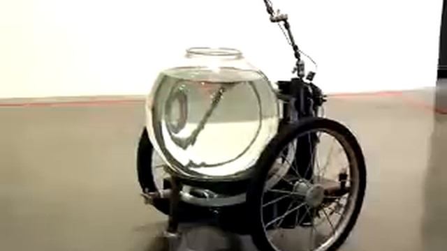 До чего дошел прогресс.flv смотреть онлайн