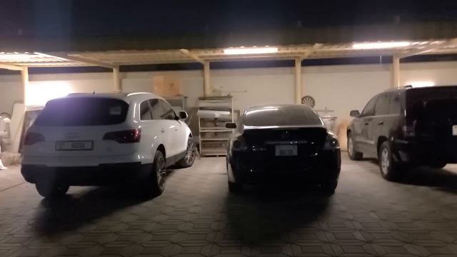 Вечерняя прогулка Никуши перед сном😁