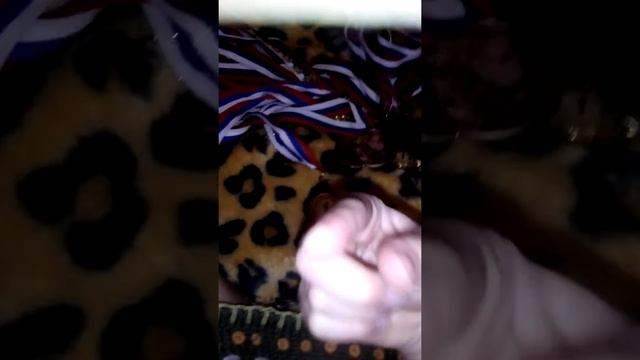 Медали мои смотреть онлайн