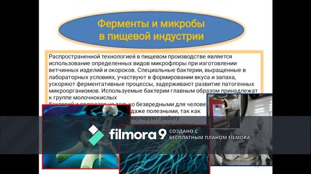 Технологические особенности производства пищевой промышленности смотреть онлайн