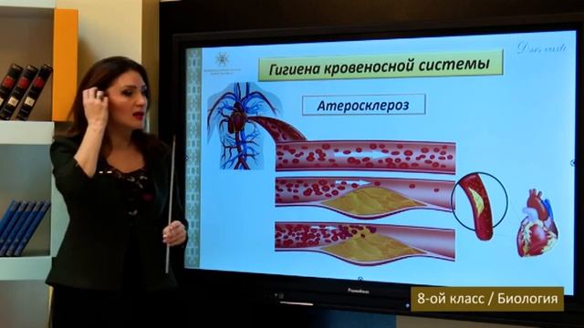 “Dərs vaxtı”: 8-ci sinif dərsləri ( rus bölməsi) (08.01.2021) смотреть онлайн