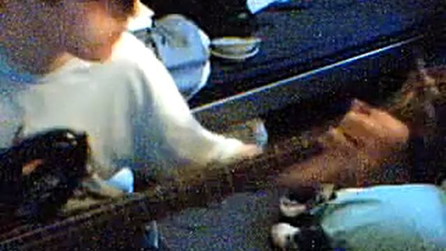 What Ive Done Bass Cover смотреть онлайн