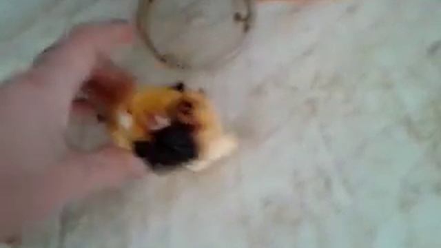 DeathEating: Как быстро сделать пирог смотреть онлайн