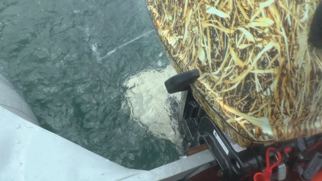 Тестируем гидрокрыло для лодочного мотора смотреть онлайн