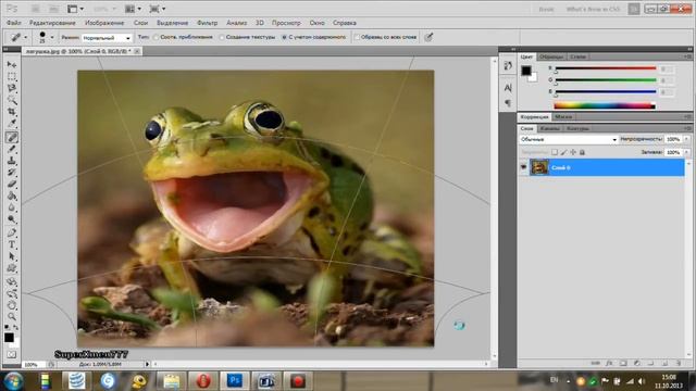 Эффект бешеной лягушки (фотошоп) смотреть онлайн