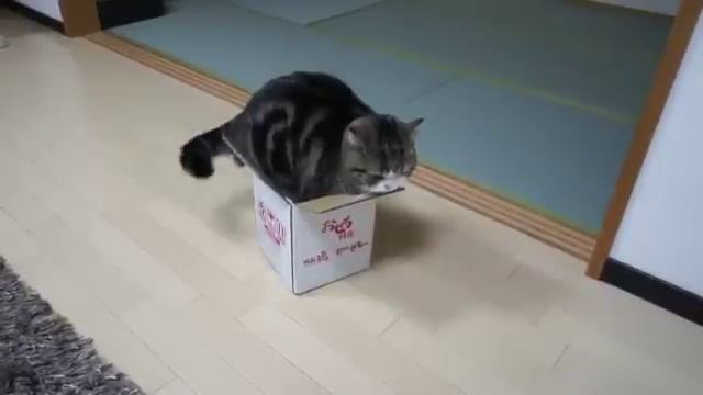 Это не подражаемо!