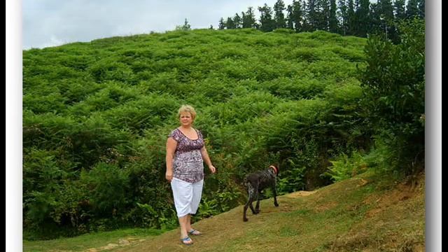 Очхамури Кобулетский район Кобулети Аджария Sakartvelo - საქართველო Georgian смотреть онлайн
