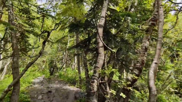 Домбай 2022. 5ч. Водопад Алибек, нарзановые источники смотреть онлайн