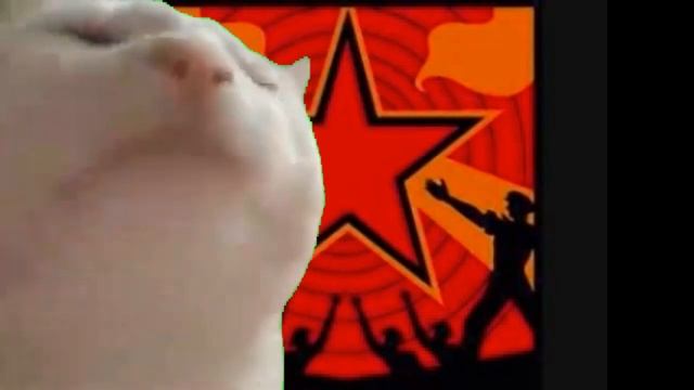 Socialist Cat Jam смотреть онлайн