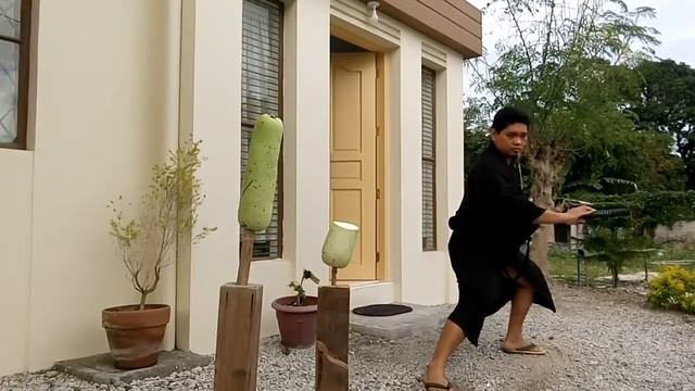 Veggie Samurai Front Yard Technique смотреть онлайн